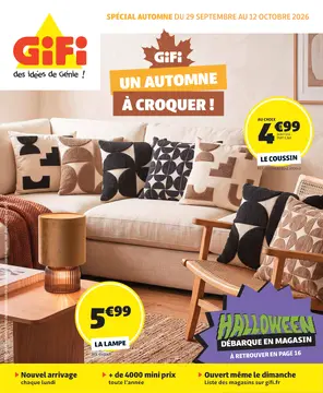 GiFi couverture de brochure