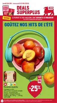 Delhaize couverture de brochure