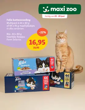 Maxi Zoo folder voorblad