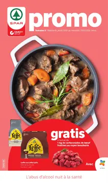 SPAR couverture de brochure