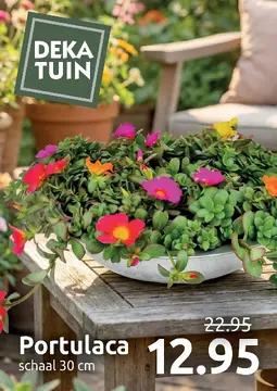 Deka Tuin folder voorblad