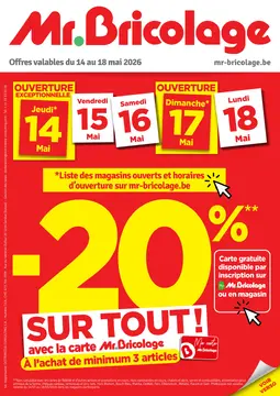 Mr.Bricolage couverture de brochure