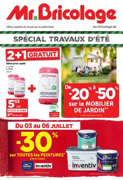 Mr.Bricolage couverture de brochure