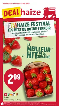 Delhaize couverture de brochure