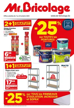 Mr.Bricolage couverture de brochure