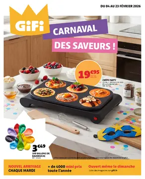 GiFi couverture de brochure
