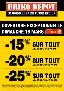 Briko Depot couverture de brochure