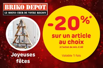 Briko Depot couverture de brochure