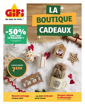 GiFi couverture de brochure