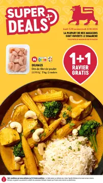 Delhaize couverture de brochure
