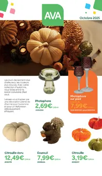 Ava couverture de brochure