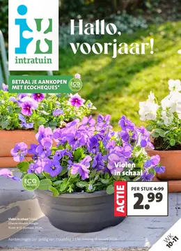 Intratuin folder voorblad