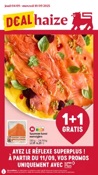 Delhaize couverture de brochure
