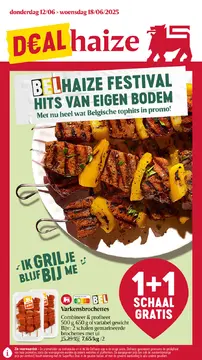 Delhaize folder voorblad