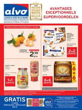 Alvo couverture de brochure