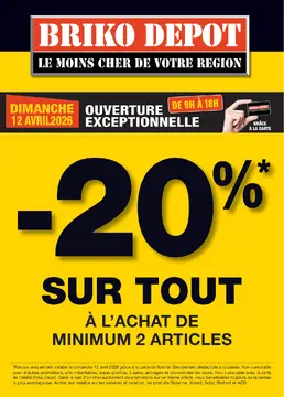 Briko Depot couverture de brochure