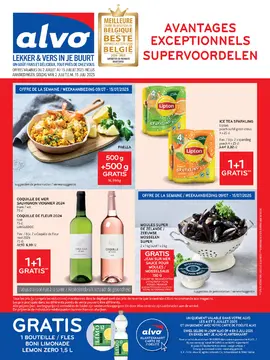 Alvo couverture de brochure