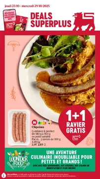 Delhaize couverture de brochure