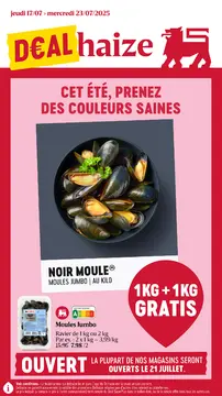 Delhaize couverture de brochure