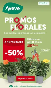 Aveve couverture de brochure
