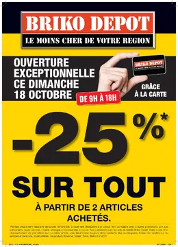Briko Depot couverture de brochure