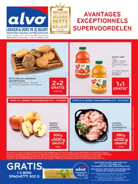 Alvo couverture de brochure