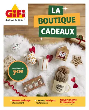 GiFi couverture de brochure