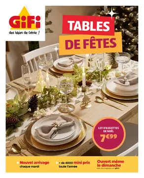GiFi couverture de brochure