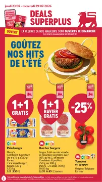 Delhaize couverture de brochure