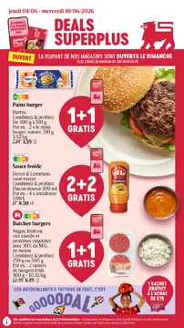 Delhaize couverture de brochure