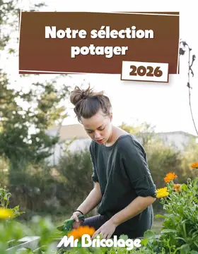 Mr.Bricolage couverture de brochure