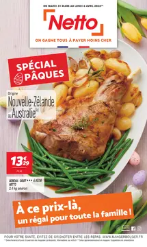 Netto couverture de brochure