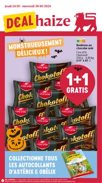 Delhaize couverture de brochure