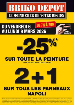 Briko Depot couverture de brochure