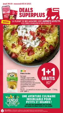 Delhaize couverture de brochure