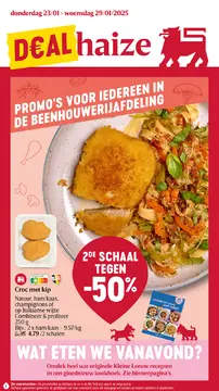 Delhaize folder voorblad