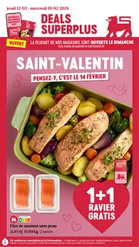 Delhaize couverture de brochure