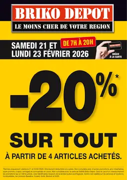 Briko Depot couverture de brochure