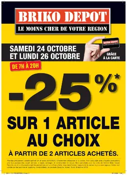 Briko Depot couverture de brochure