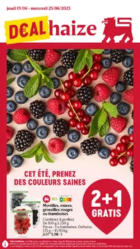 Delhaize couverture de brochure