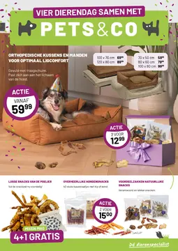 Pets&Co folder voorblad