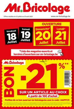 Mr Bricolage couverture de brochure
