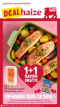 Delhaize couverture de brochure