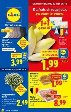 Lidl couverture de brochure