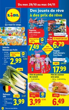 Lidl couverture de brochure
