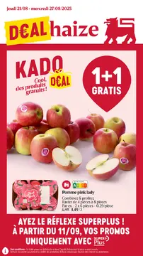 Delhaize couverture de brochure