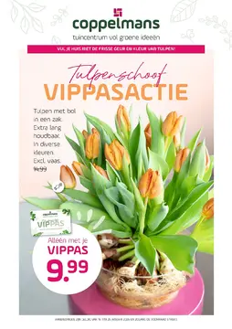 Coppelmans folder voorblad