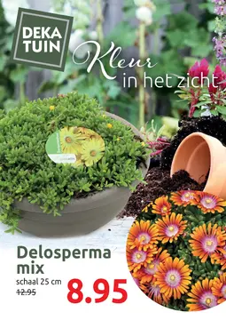 Deka Tuin folder voorblad
