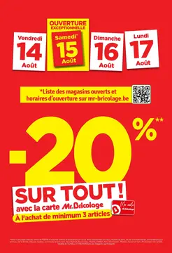 Mr.Bricolage couverture de brochure