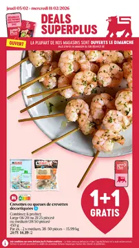 Delhaize couverture de brochure